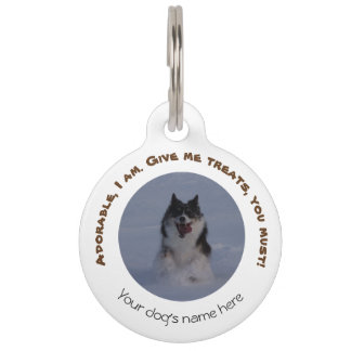 Dog tag with address, customisable