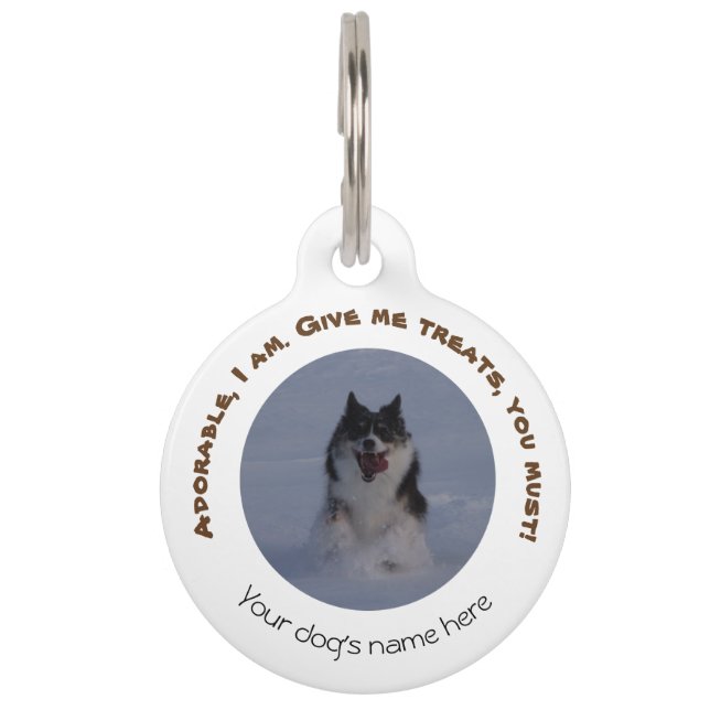 Dog tag with address, customisable (Front)