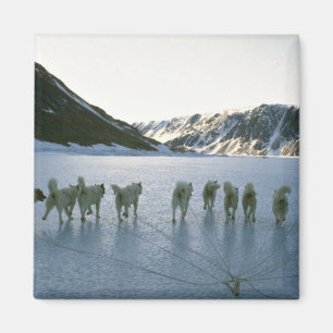 Dog team, Greenland Magnet