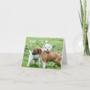 Dog Thank You Cards - Boxer Dog