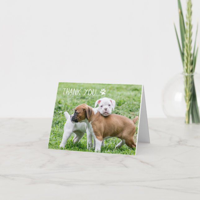 Dog Thank You Cards - Boxer Dog (Front)
