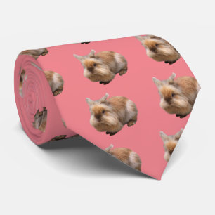 dog tie