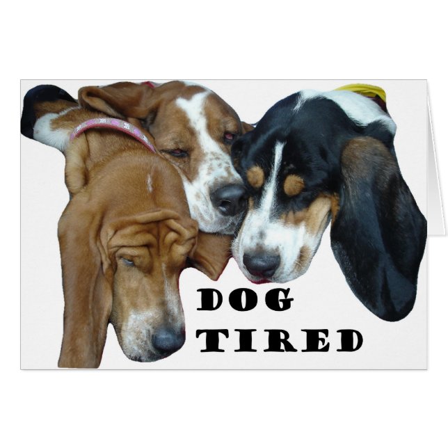 Dog Tired (Front Horizontal)