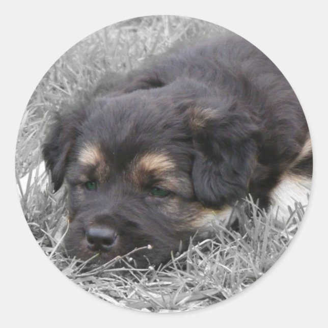 Dog Tired, customisable Classic Round Sticker (Front)