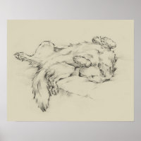 Dog Tired