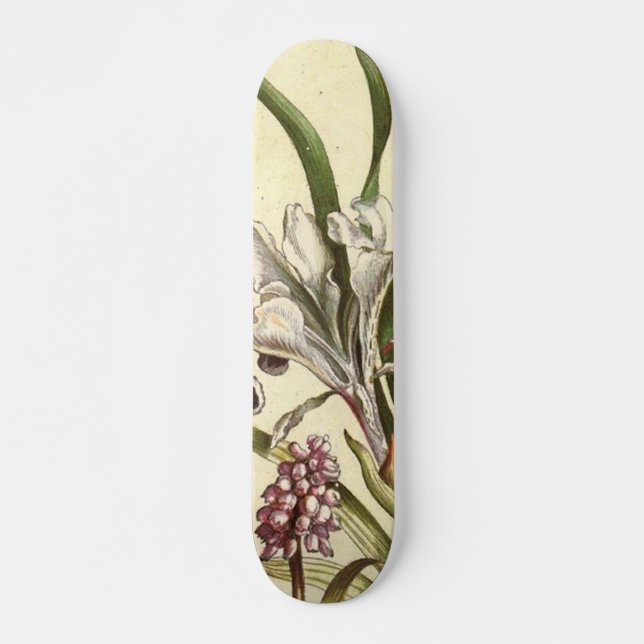 Dog Tooth Violet Skateboard (Front)