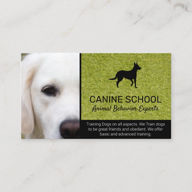 Dog Trainer | Animal Behaviour Business Card (Front)