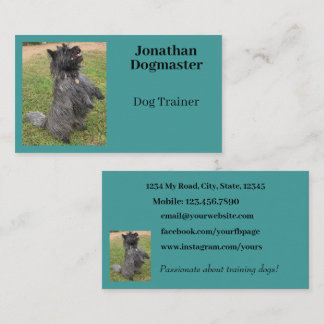 Dog Trainer Aqua Blue Teal Photo Minimal Business Card
