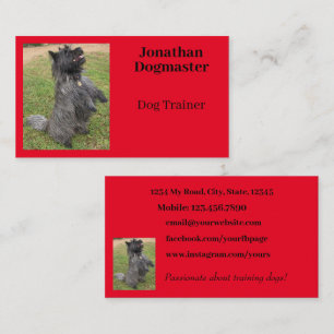 Dog Trainer Bright Red Minimal Photo Business Card