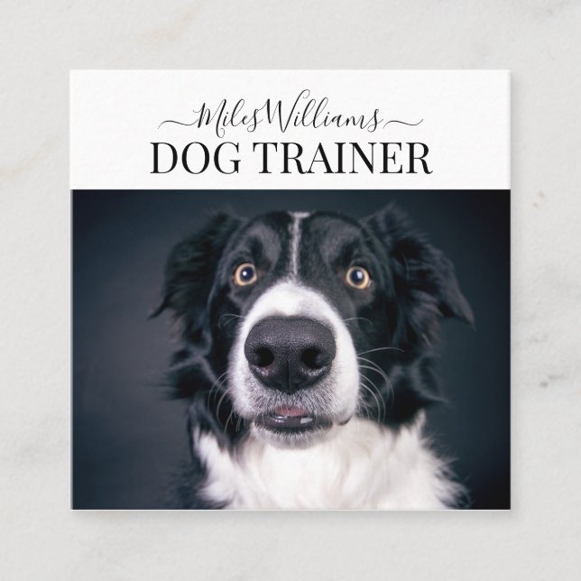 Dog Trainer Or Behaviorist Square Business Card (Front)