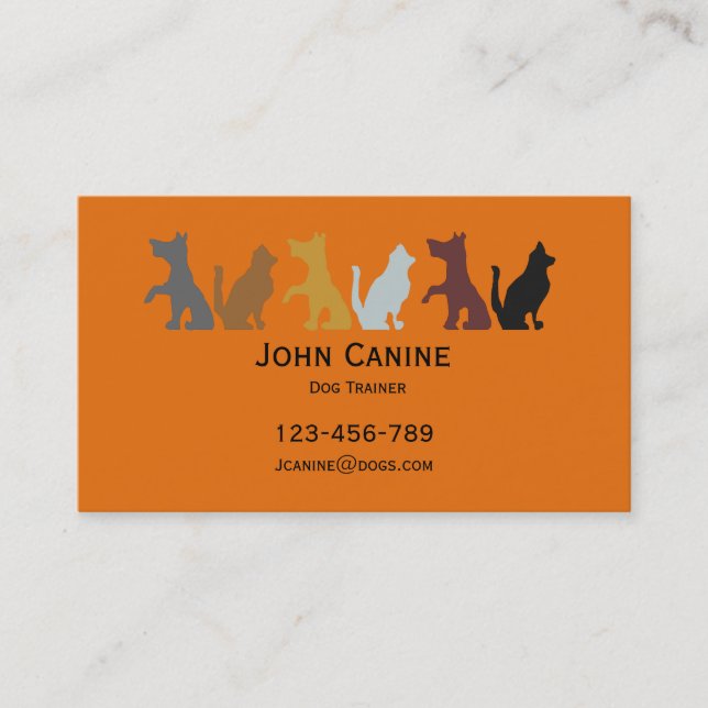 Dog Trainer stylish modern professional Business Card (Front)
