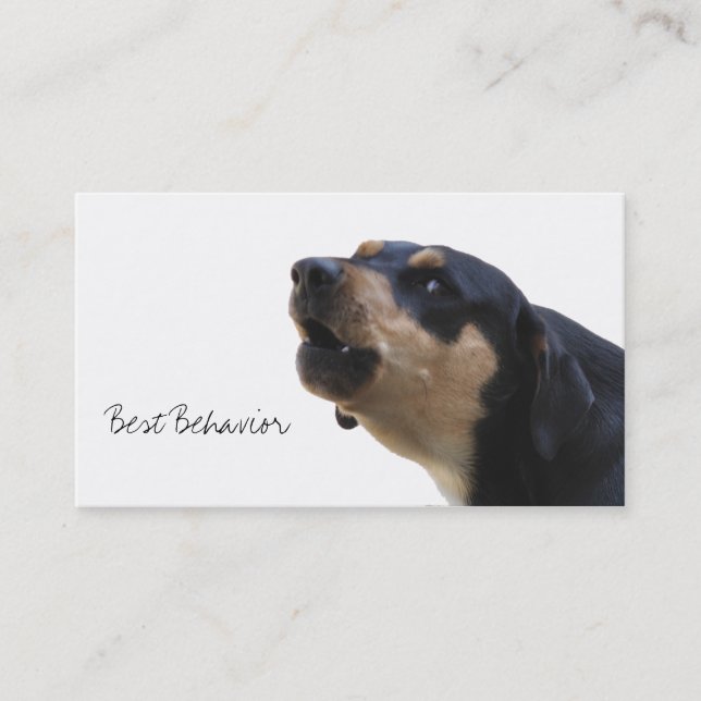 Dog training behaviour specialist business card (Front)