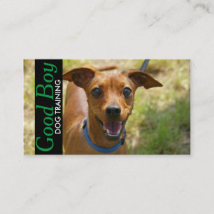 Dog Training Pet Sitting Walker Business Card