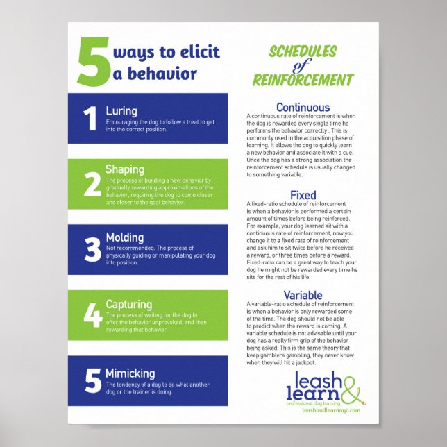 Dog Training Poster (Front)