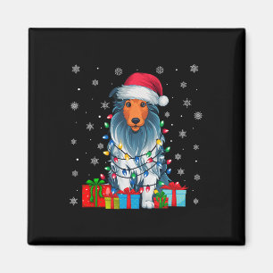 Dog Ugly Xmas Lights Santa Hat Bearded Collie Dog Magnet