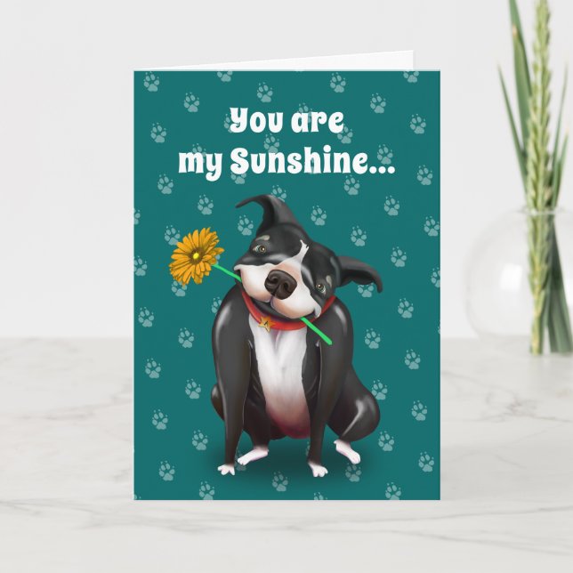 Dog Valentine Greeting Cards | You Are My Sunshine (Front)