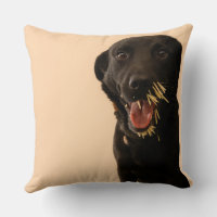Dog vs. Porcupine Pillow