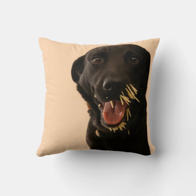 Dog vs. Porcupine throw pillow (Back)