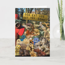 Dog Walk  Friendship