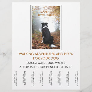 Dog Walker Adventure Walks And Hikes Flyer
