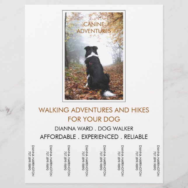 Dog Walker Adventure Walks And Hikes Flyer (Front)