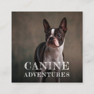 Dog Walker And Dog Adventures Square Business Card