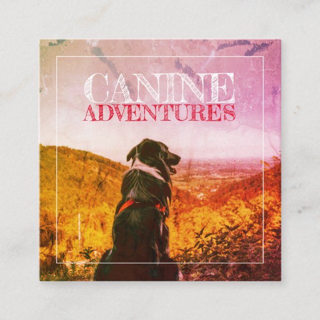 Dog Walker And Dog Adventures Textured Glow Square Business Card (Front)