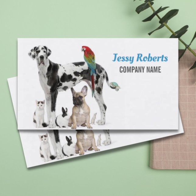 Dog Walker Animal Care Veterinarian Pet Sitting Business Card (Dog Walker Animal Care Veterinarian Pet Sitting Business Card)