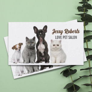 Dog Walker Animal Care Veterinarian Pet Sitting Business Card