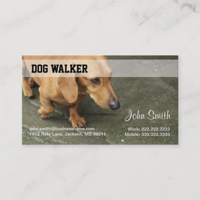 Dog Walker Business Card (Front)