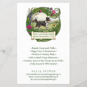 Dog Walker Business Flyer - Border Collie