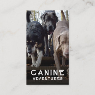 Dog Walker Custom Photo Business Card