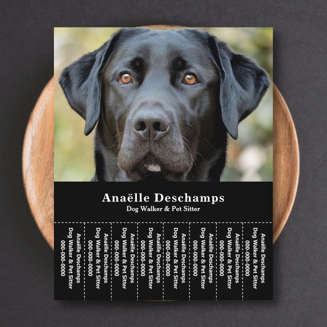 Dog Walker Pet Sitter Photo Tear Off Strips Flyer (Dog Walker Pet Sitter Photo Tear Off Strips Flyer)