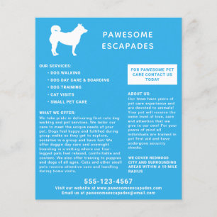 Dog Walker & Pet Sitter Teal Flyer