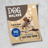 Dog Walker Pet Sitting Happy Labrador Retrieve Dog