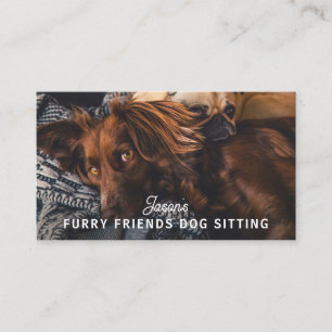 Dog Walker Sitting Daycare Service Business Card