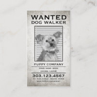 dog walker wanted poster