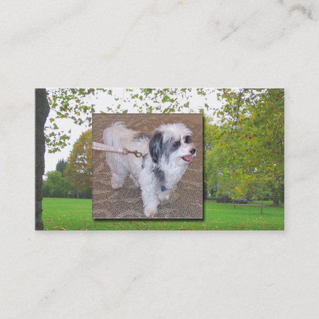 Dog Walking Business Card (Front)