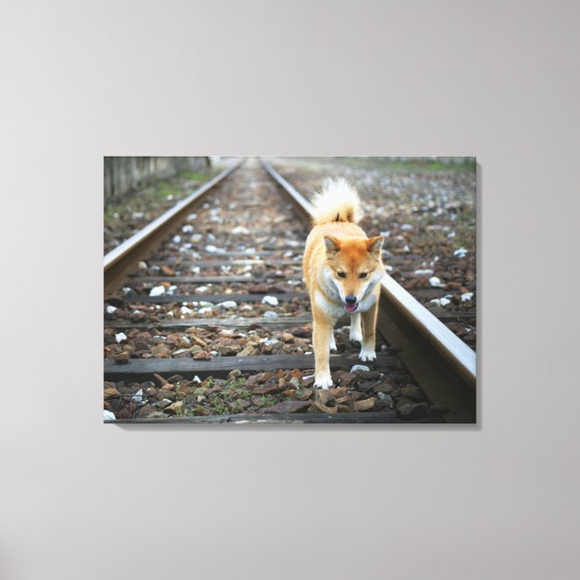 Dog walking track canvas print (Front)