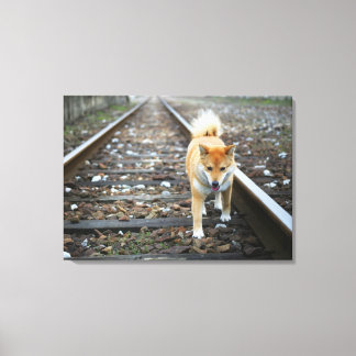 Dog walking track canvas print