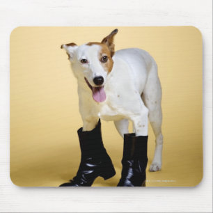 Dog wearing boots mouse pad