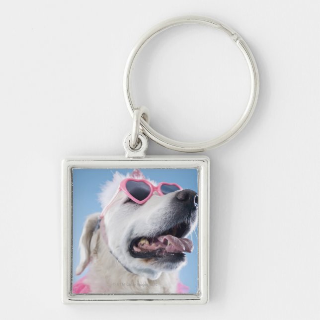Dog wearing heart shaped classes and tu-tu key ring (Front)