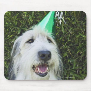 Dog wearing party hat mouse pad