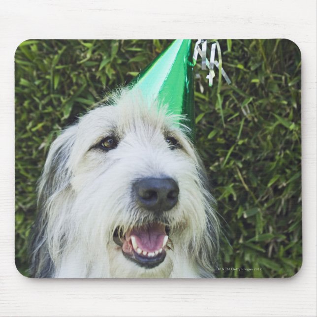 Dog wearing party hat mouse pad (Front)