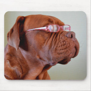 Dog Wearing Pink Eyeglasses Mouse Pad