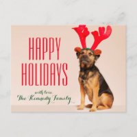 Dog Wearing Red Antlers