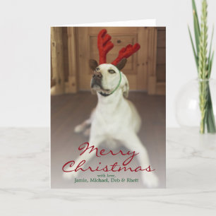Dog wearing reindeer antlers holiday card
