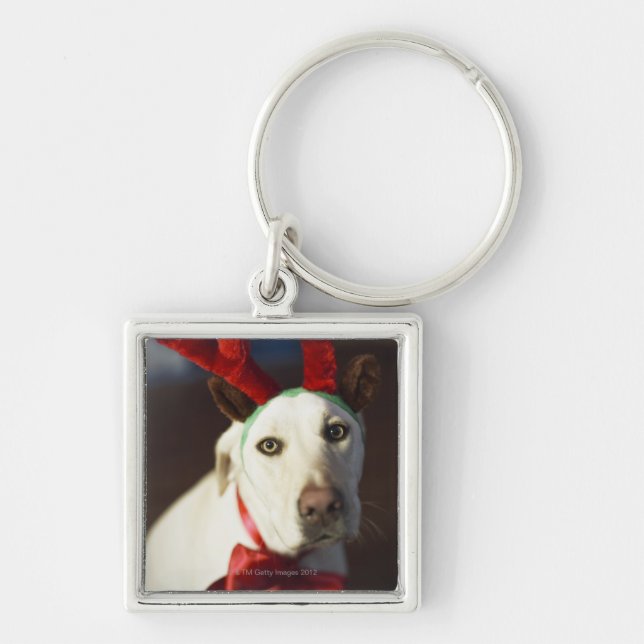 Dog wearing reindeer antlers key ring (Front)