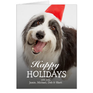 Dog wearing Santa hat