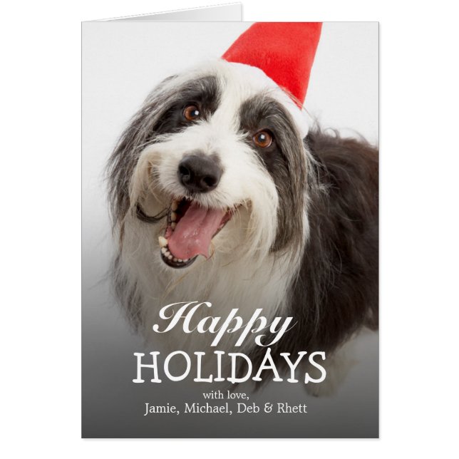 Dog wearing Santa hat (Front)